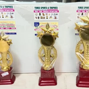 Star-Themed Gold Award Trophies - Premium Multi-Size Winners' Trophies for Competitions