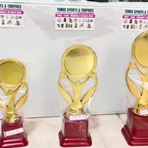 Classic Gold Winner Trophies - Sports, Academic & Competition Awards (Three Sizes)