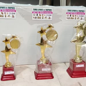 Gold Star Cluster Award Trophies - Tiered Sizes for Sports & Academic Winners